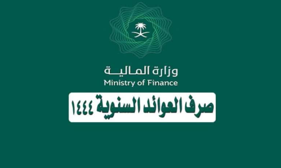               العوائد السنوية