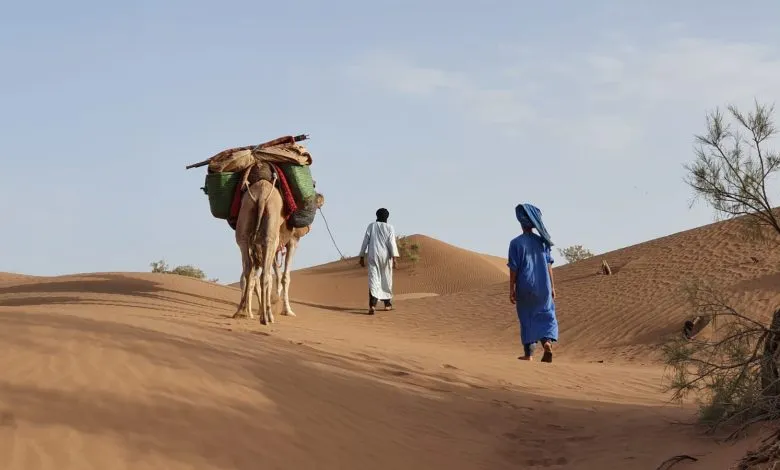 بني مالك
