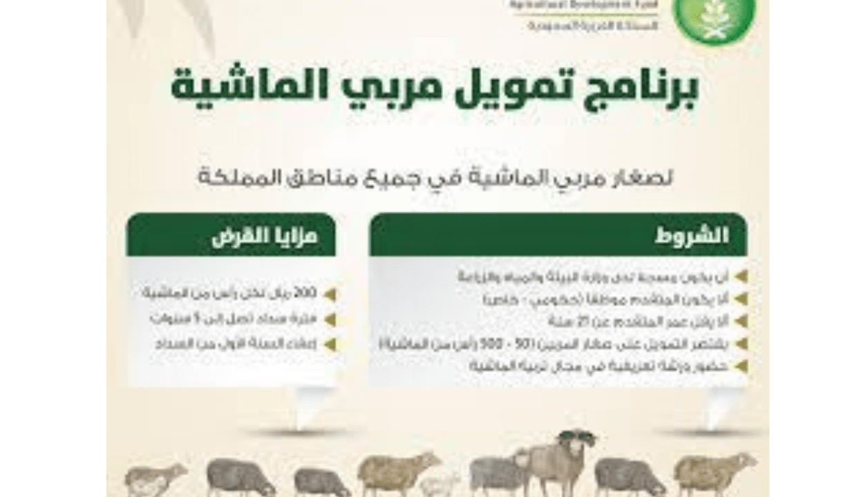 شروط استخدام دعم مربي الماشية