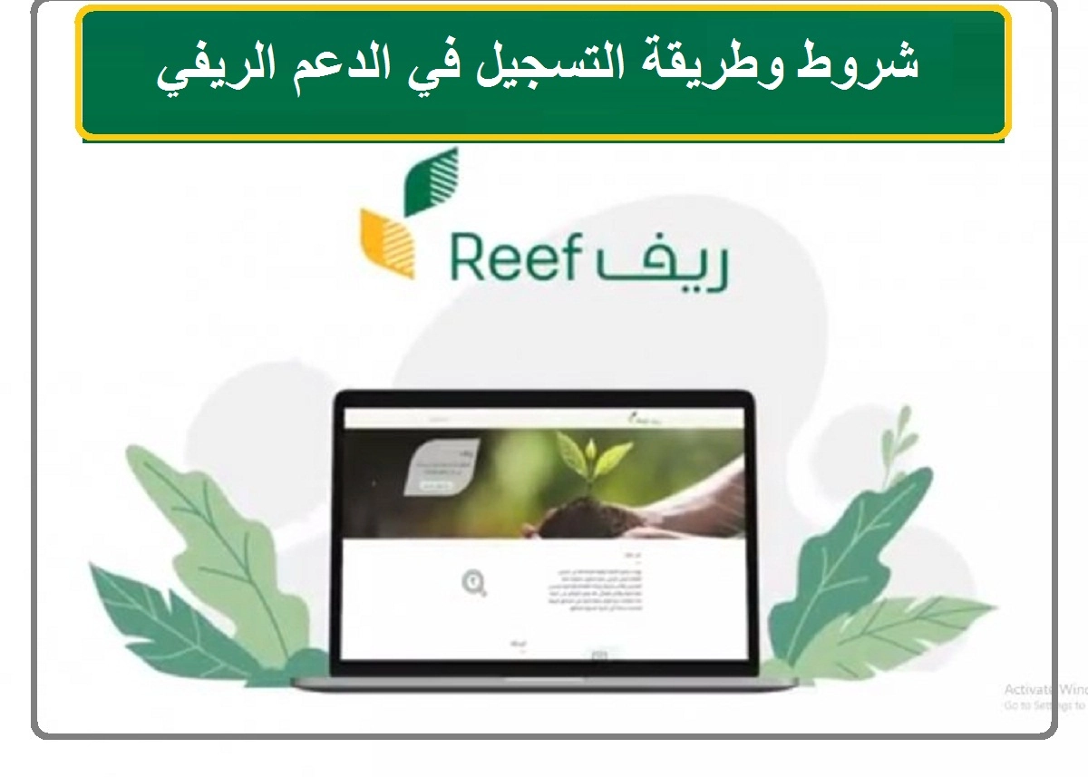 شروط التسجيل في برنامج ريف