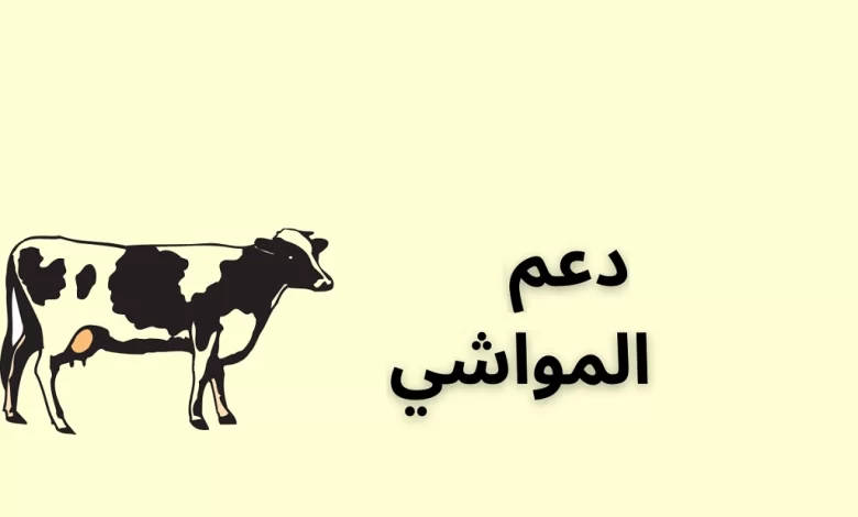 شروط دعم المواشي للنساء 1445