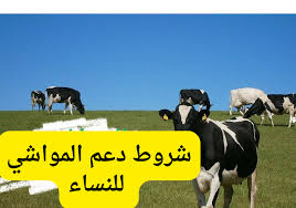 شروط دعم المواشي 