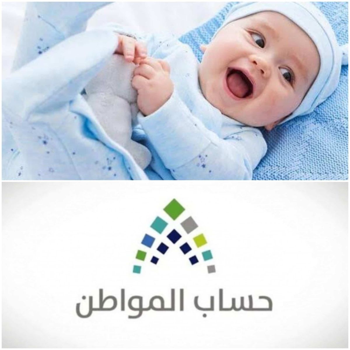 طريقة اضافة مواليد في حساب المواطن