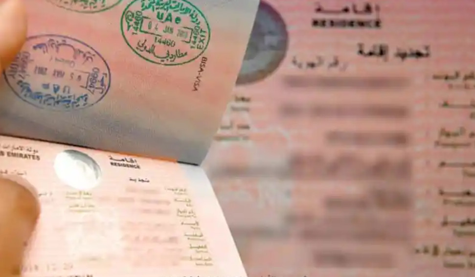 الاستعلام عن رقم تأشيرة الدخول لمقيم
