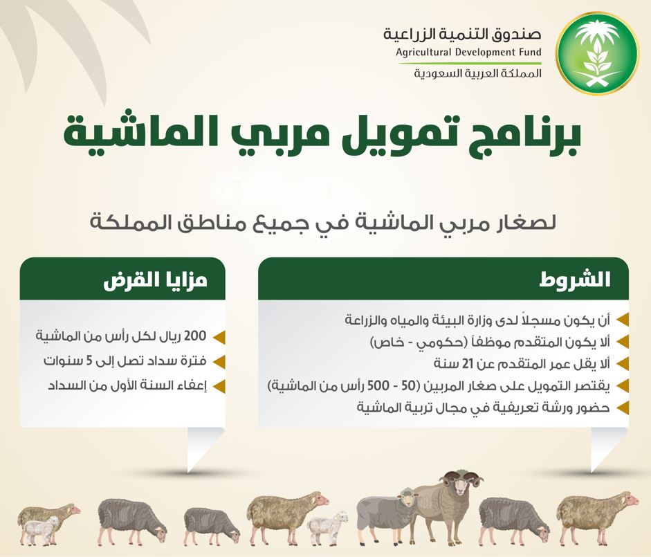 تمويل مربي المواشي