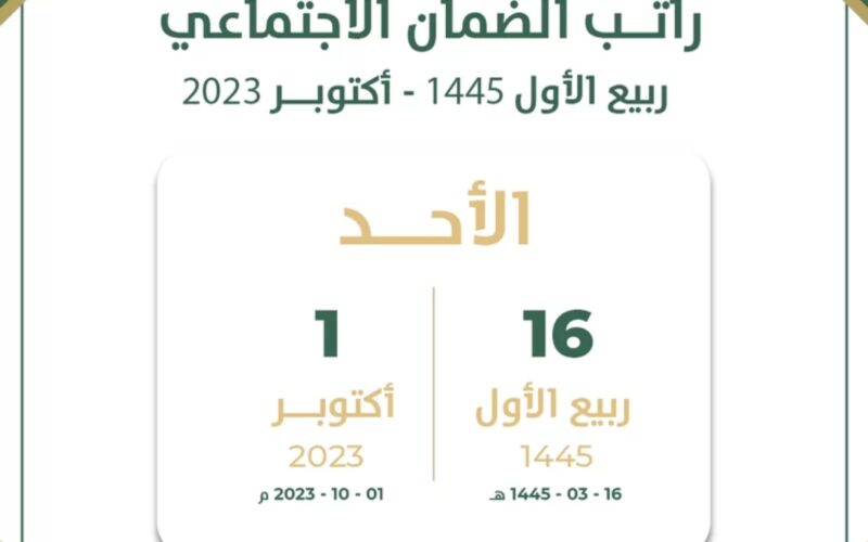 كم باقي على الضمان المطور العد التنازلي؟