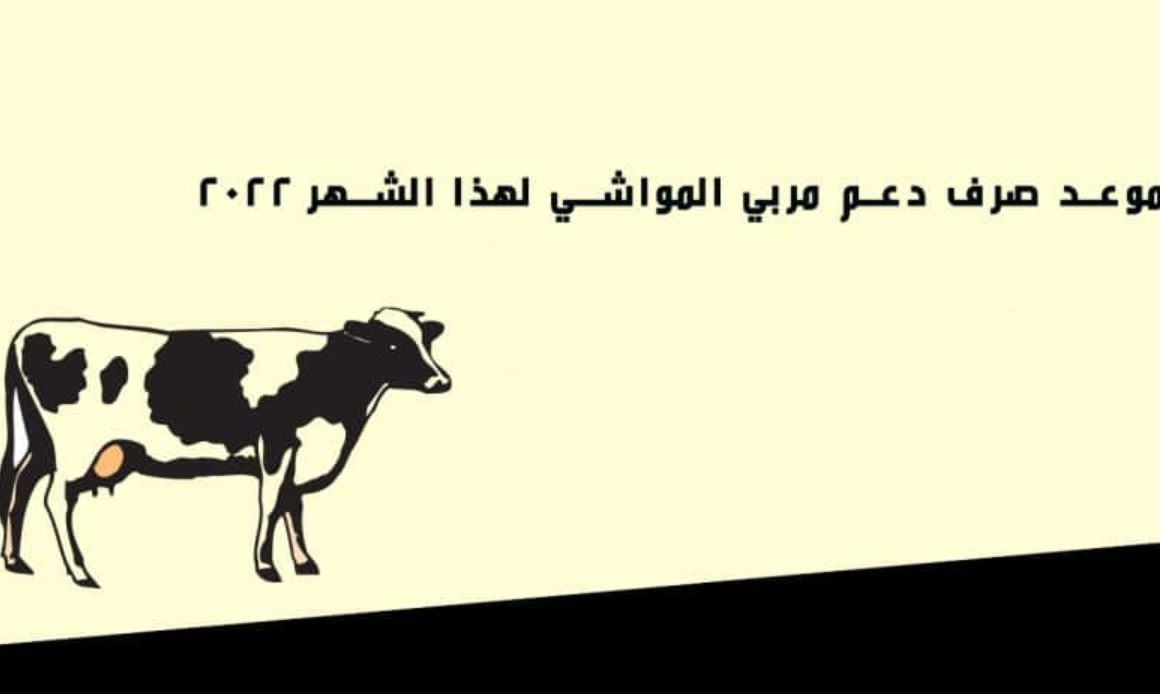 متى ينزل دعم المواشي