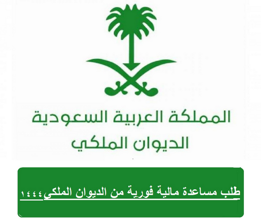 مساعدة مالية فورية