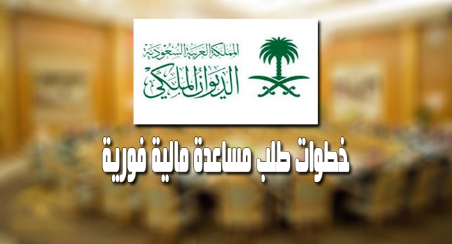 مساعدة مالية فورية