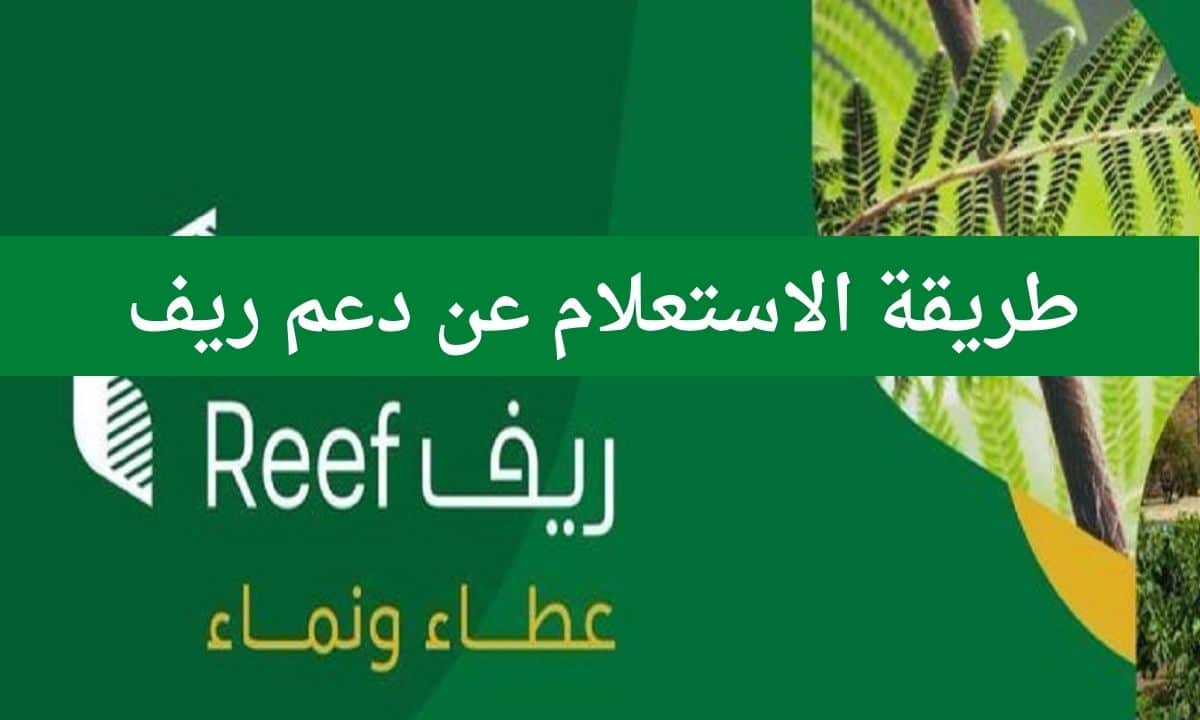 من هم المستفيدين من دعم ريف