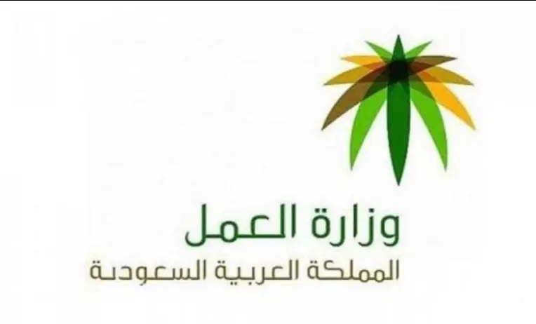 كيف يتم نقل الكفالة في النظام الجديد