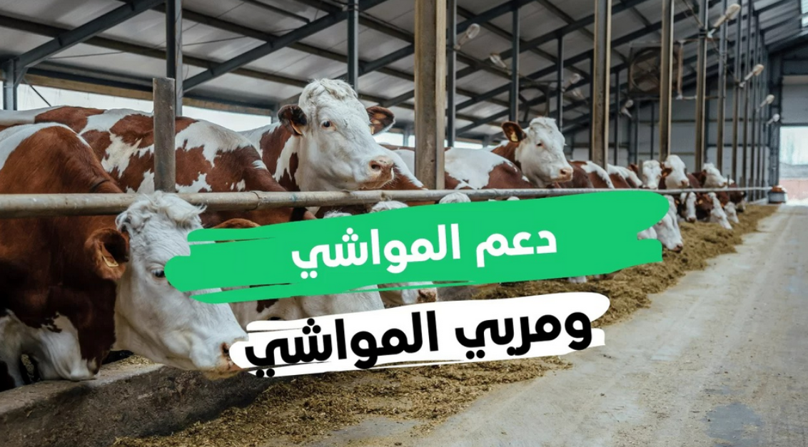 تاريخ نزول إعانة مربي المواشي