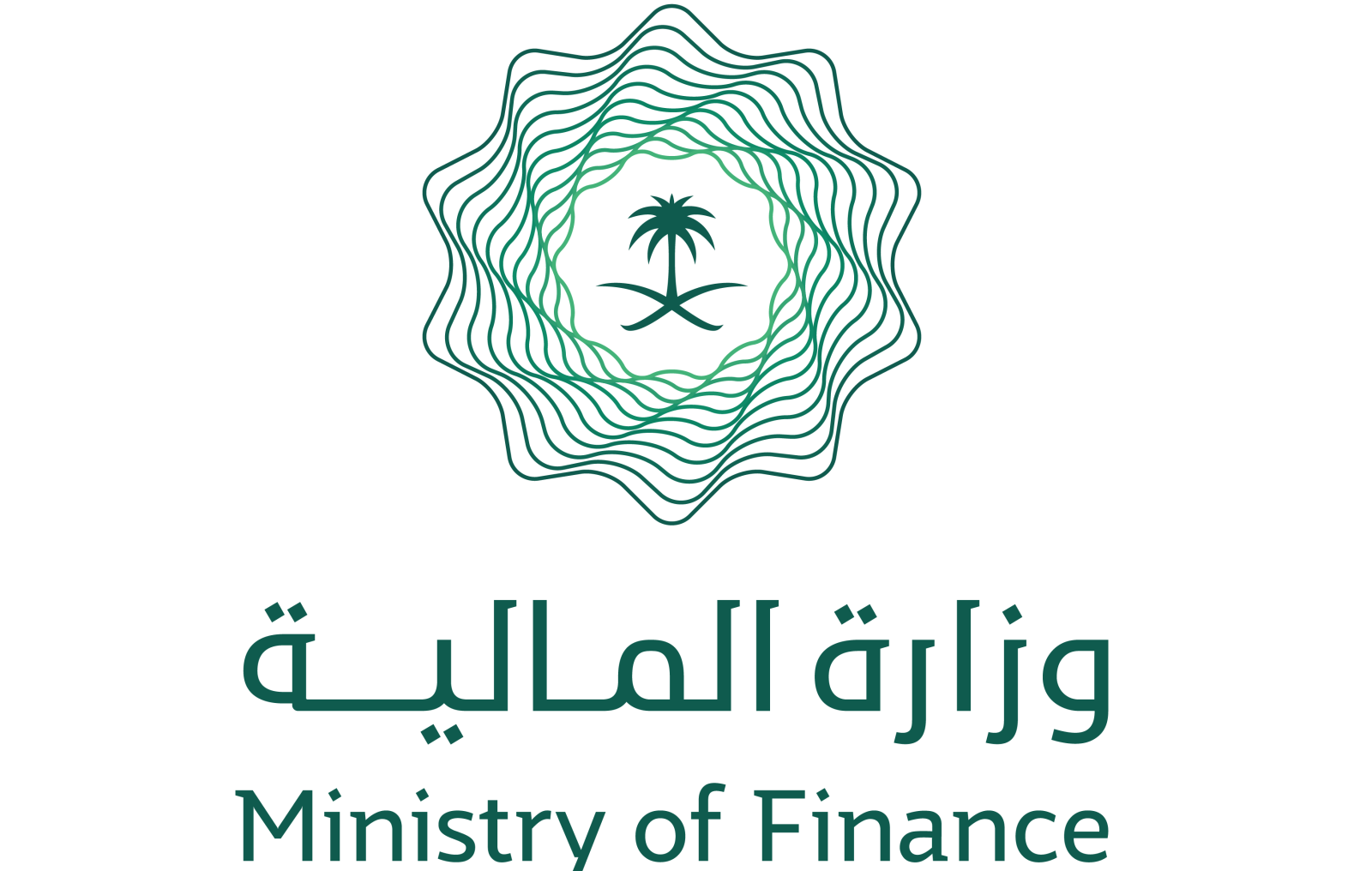 وزارة المالية توضح ضوابط التسجيل في العوائد السنوية