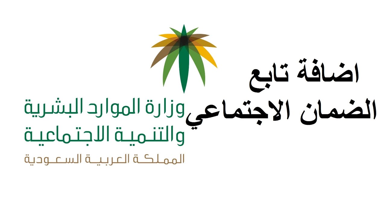 كيف اضيف التابعين في الضمان المطور