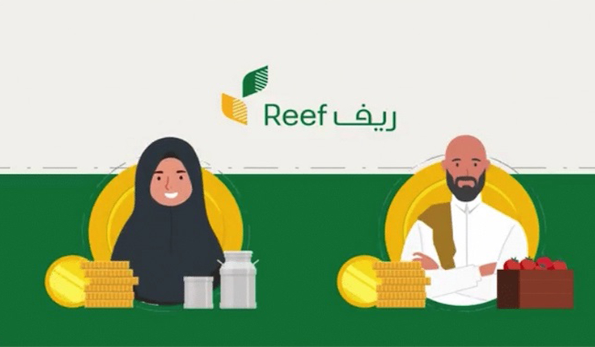 برنامج ريف وشروط القبول الأساسية