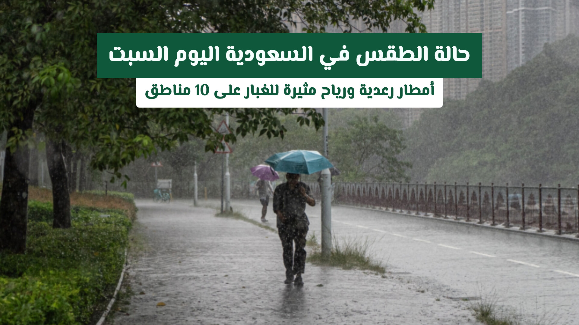 حالة الطقس في السعودية اليوم السبت: أمطار رعدية ورياح مثيرة للغبار على 10 مناطق