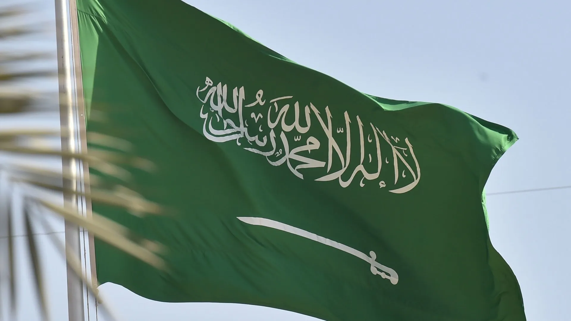 استعلام عن نطاق المؤسسة برقم إقامة العامل
