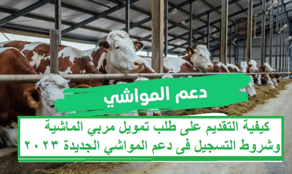 تمويل مربي المواشي