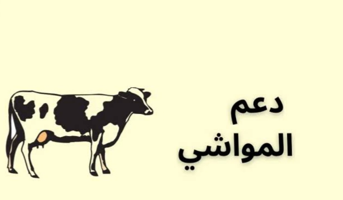 استعلام عن دعم المواشي رقم وخطوات الدخول على اهليه دعم المواشي وموعد نزول الدعم