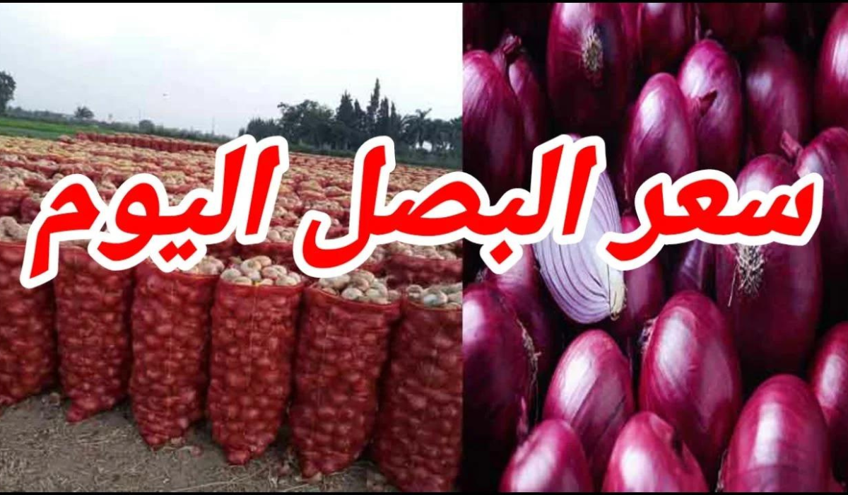 سعر البصل في السعودية