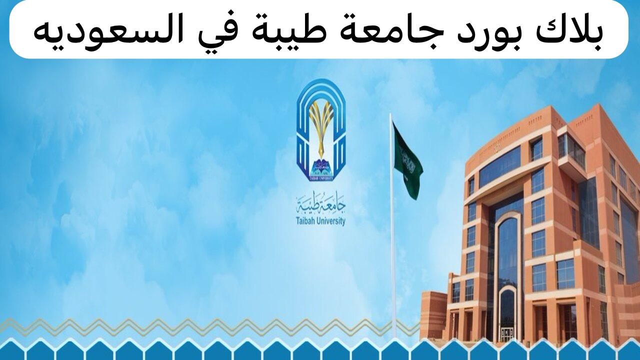 بلاك بورد طيبة
