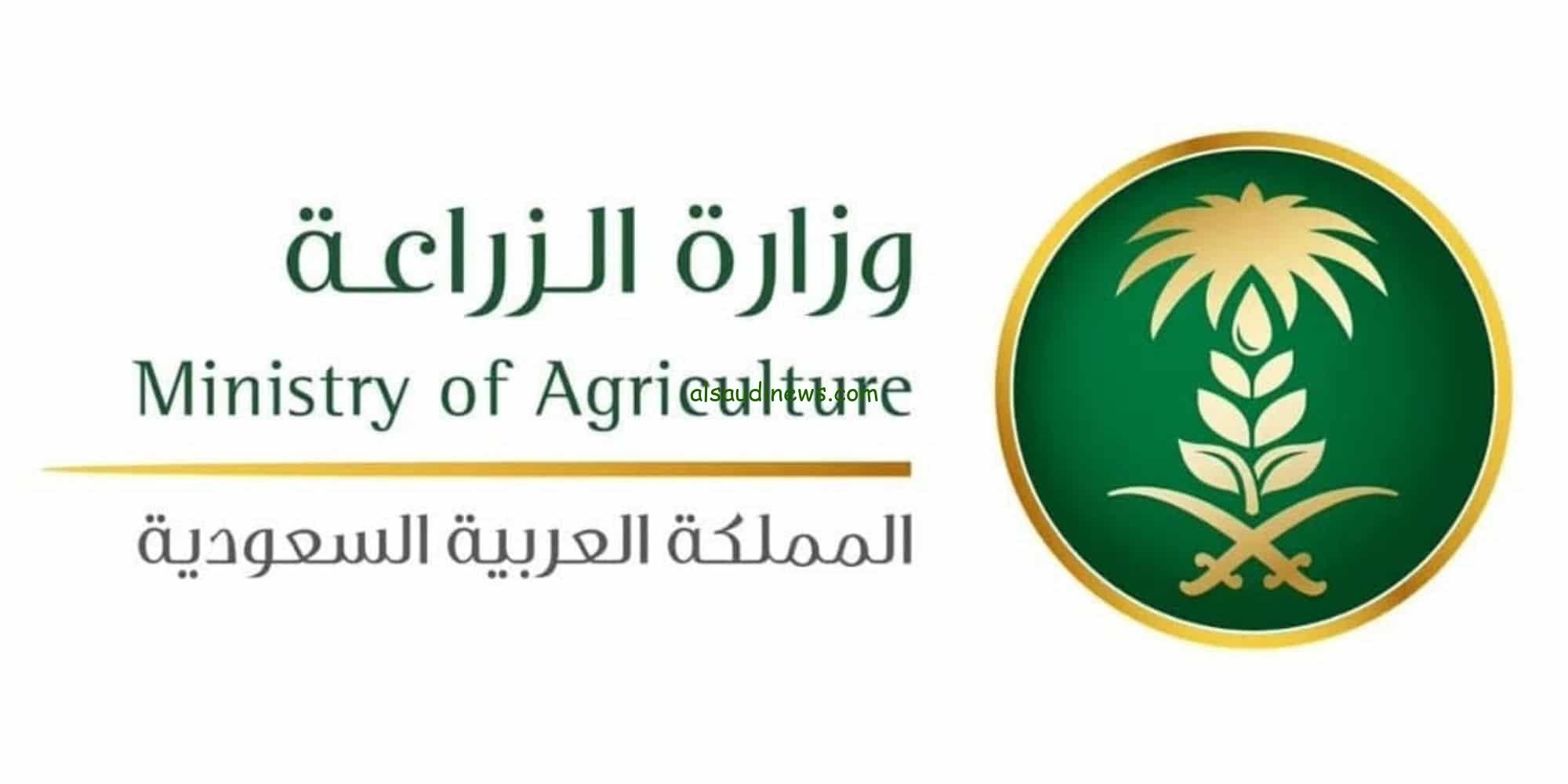 تعرف على خطوات استعلام عن دعم المواشي النفاذ الوطني  1445 - 2024