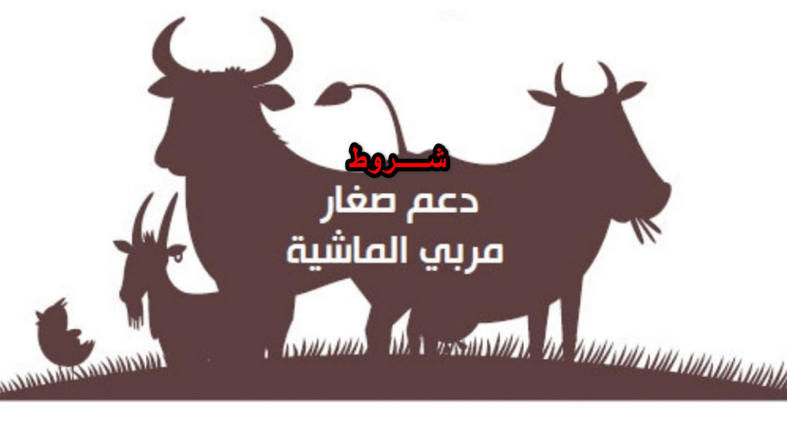 هل هناك شروط محددة لحصول صغار مربي الماشية على دعم ريف