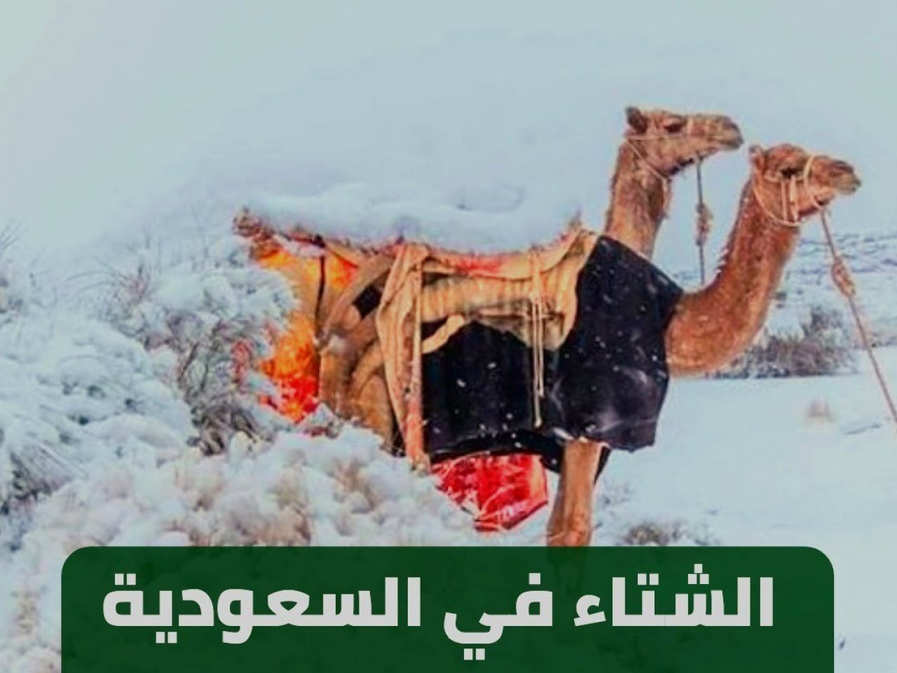 متى يبدأ الشتاء في السعودية والوطن العربي وموعد انتهائه 1445