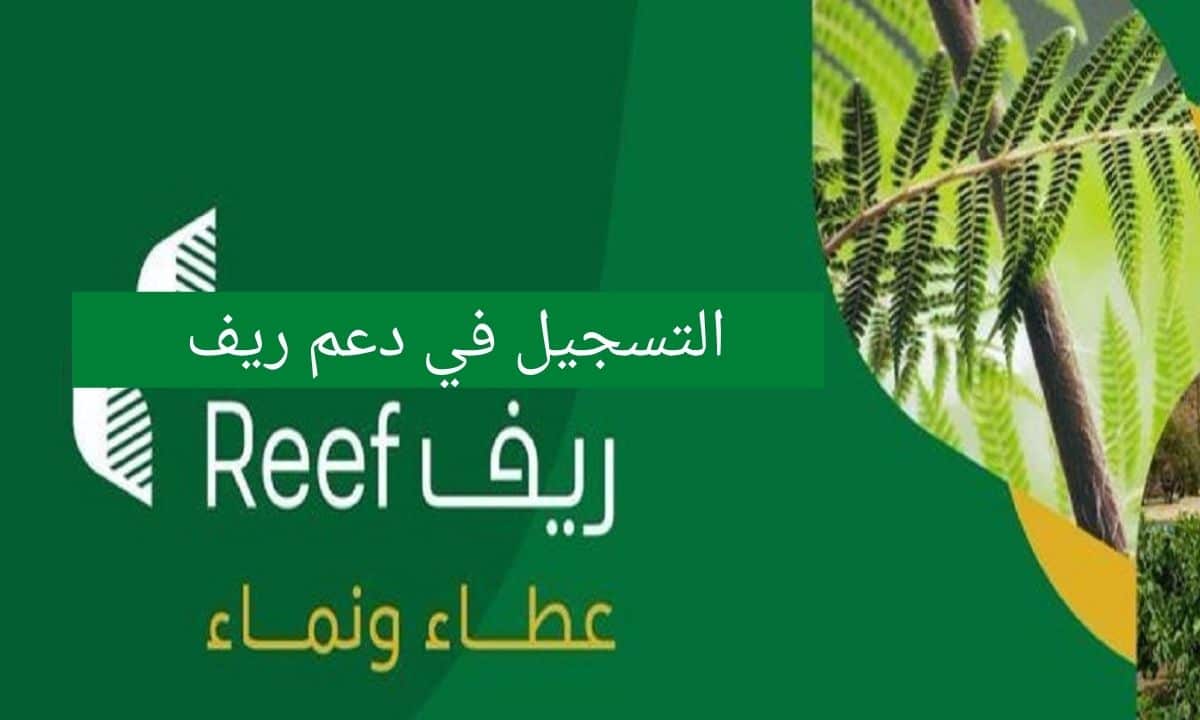 دعم منصة ريف
