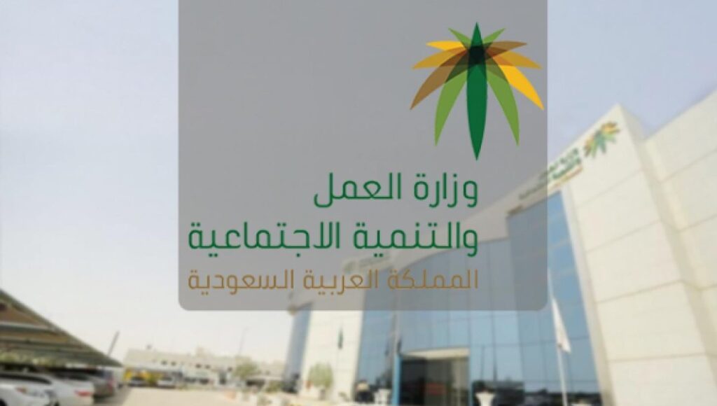 كيف يتم نقل الكفالة في النظام الجديد