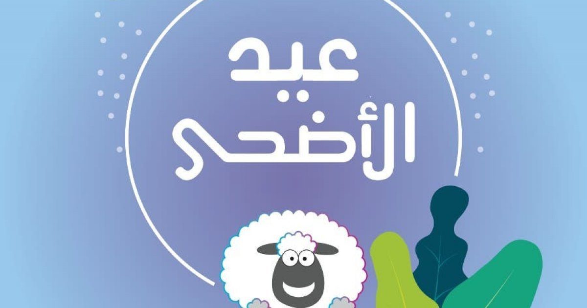  متوسط أسعار الأغنام في السعودية وطريقة شرائها بثمن رخيص