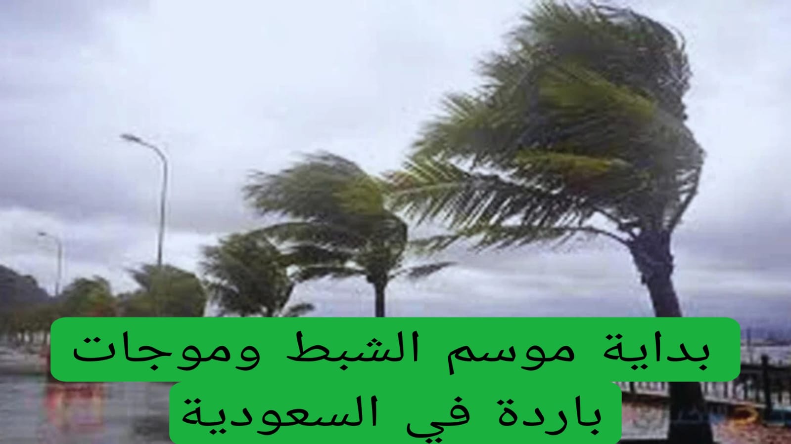 بداية موسم الشبط وموجات باردة في السعودية