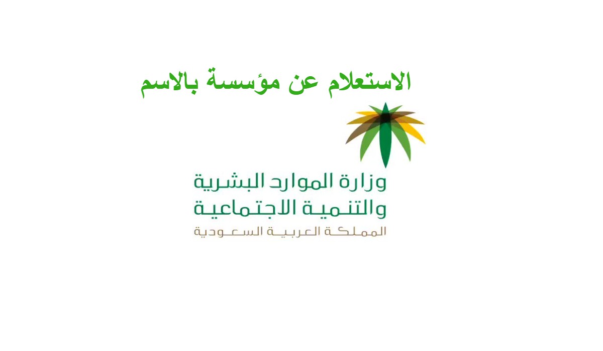 الاستعلام عن مؤسسة بالاسم