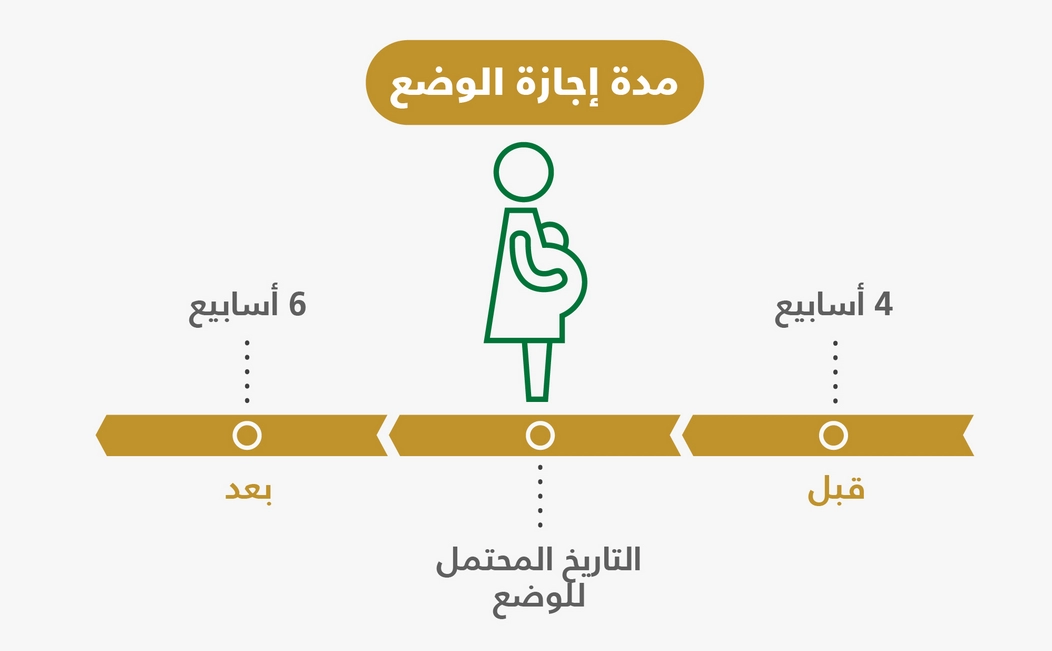اجازة الامومة في القطاع الخاص