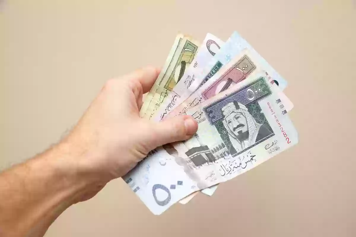 سلم رواتب الموظفين بعد الخصخصة 