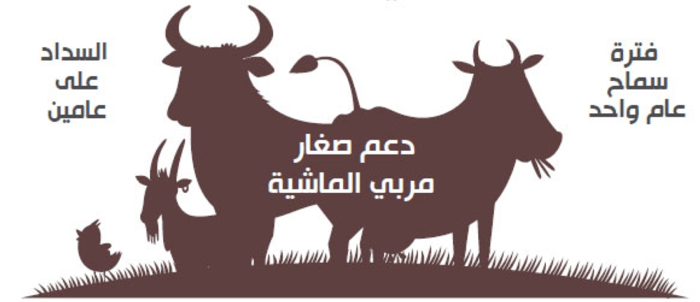 تمويل مربي المواشي