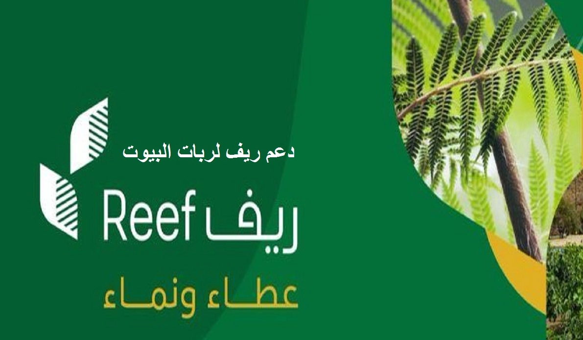 من يستحق دعم ريف