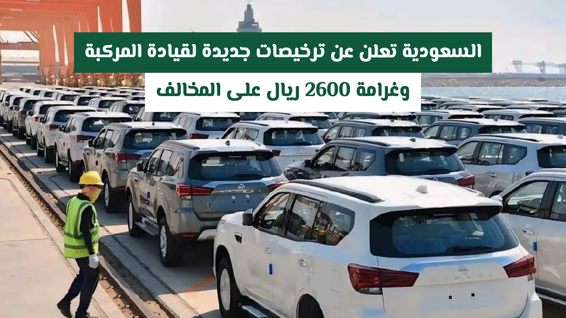 السعودية تعلن عن ترخيصات جديدة لقيادة المركبة .. وغرامة 2600 ريال على المخالف (تفاصيل)