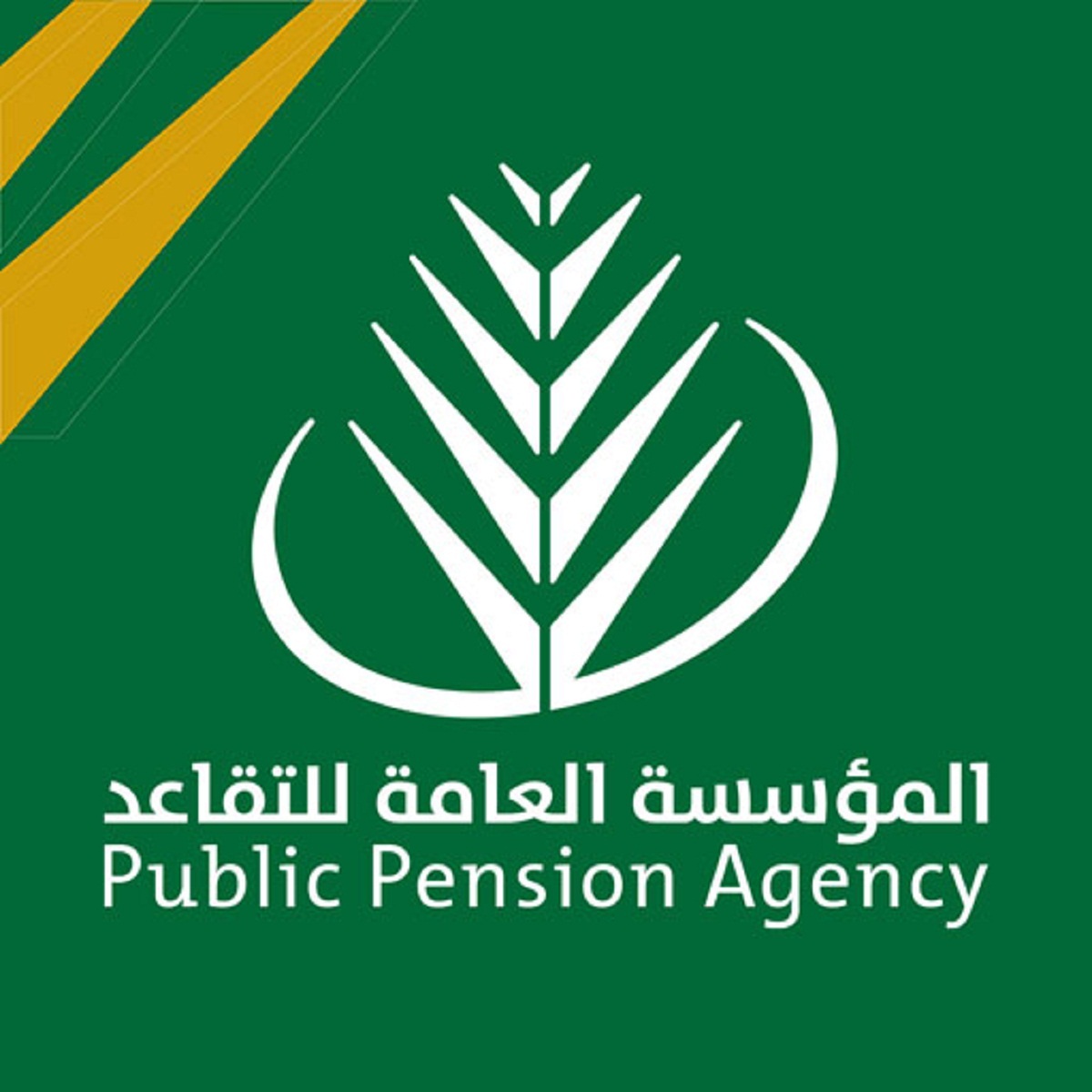 مؤسسة التقاعد الاجتماعي توضح موعد صرف الراتب الشهري إليك الشروط 