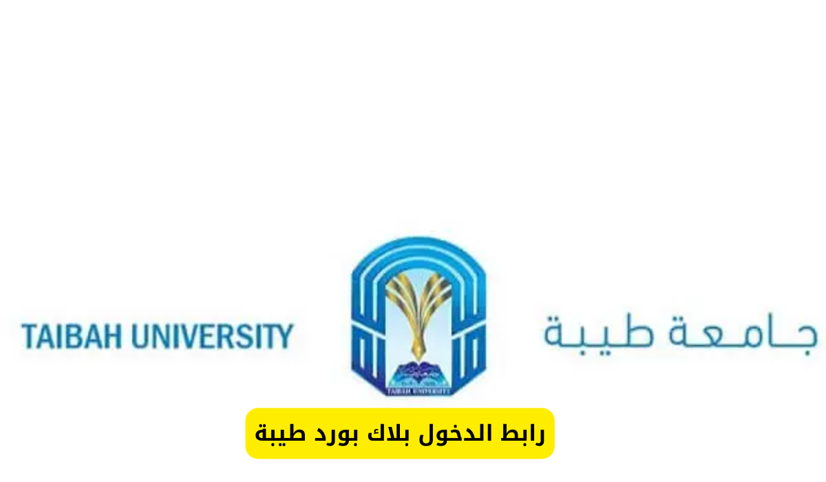 بلاك بورد طيبة