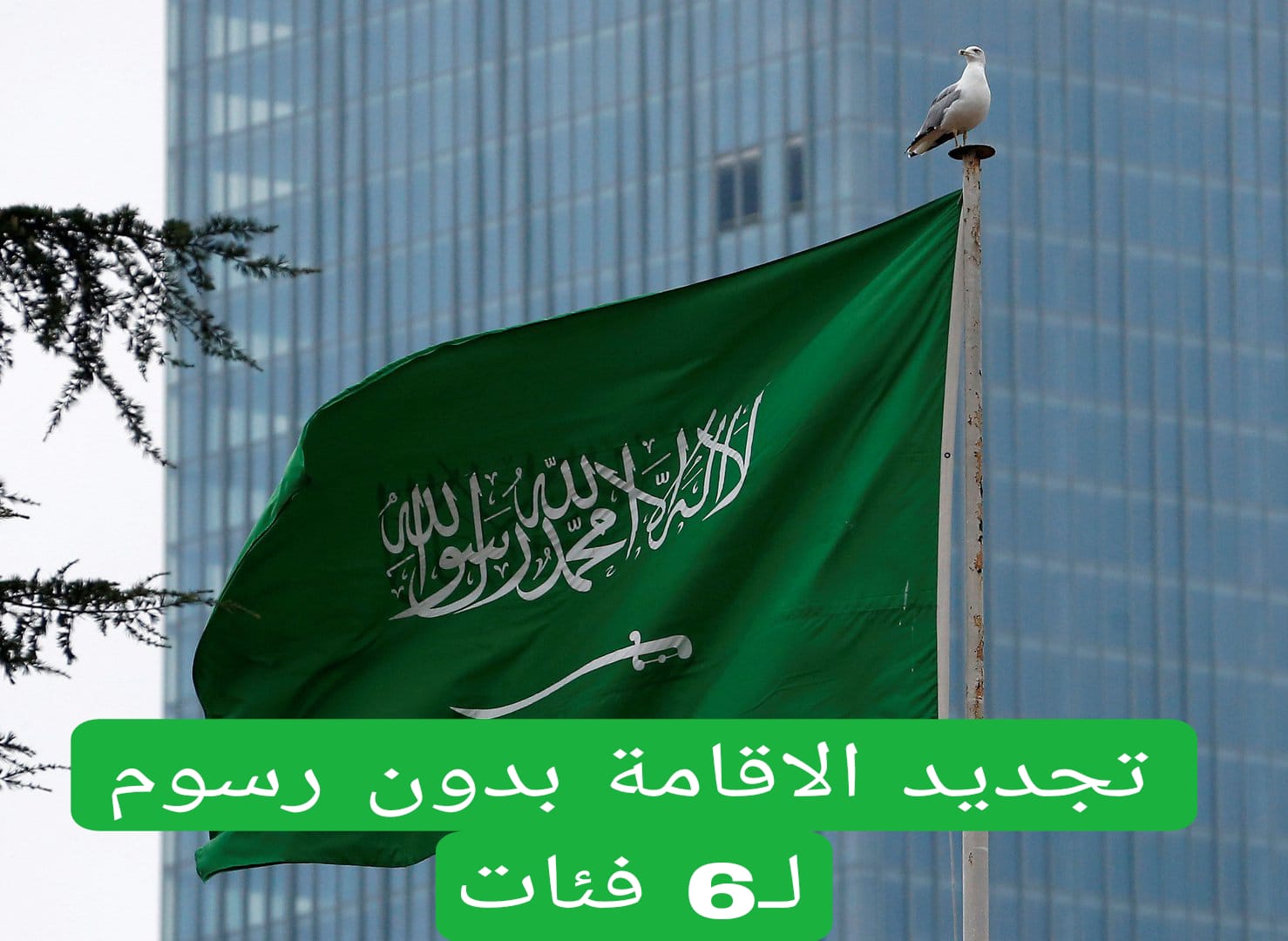 تجديد الاقامة 6 فئات من الوافدين