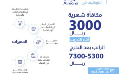 معاهد منتهية بالتوظيف 