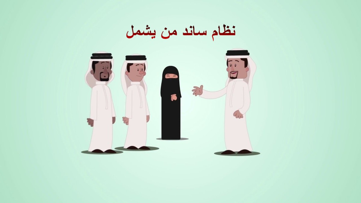 نظام ساند من يشمل
