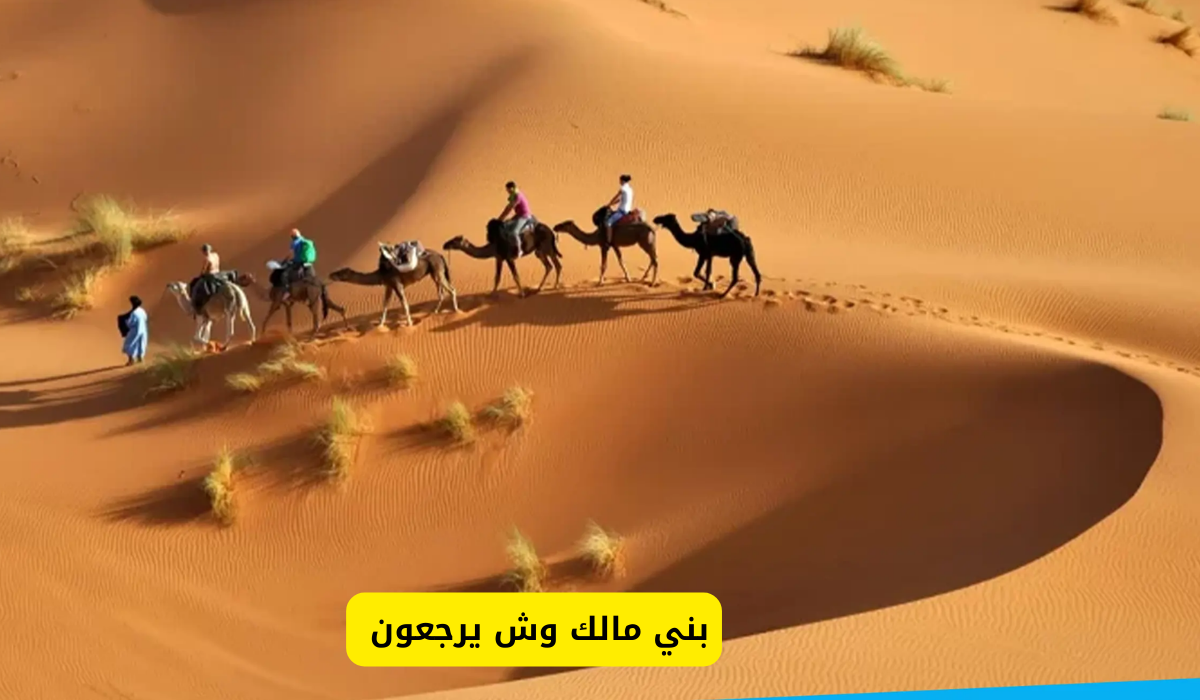 بني مالك