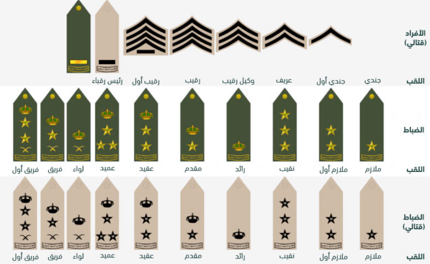 كم راتب جندي الدفاع الجوي مع البدلات؟ .. “وزارة الدفاع” تُجيب