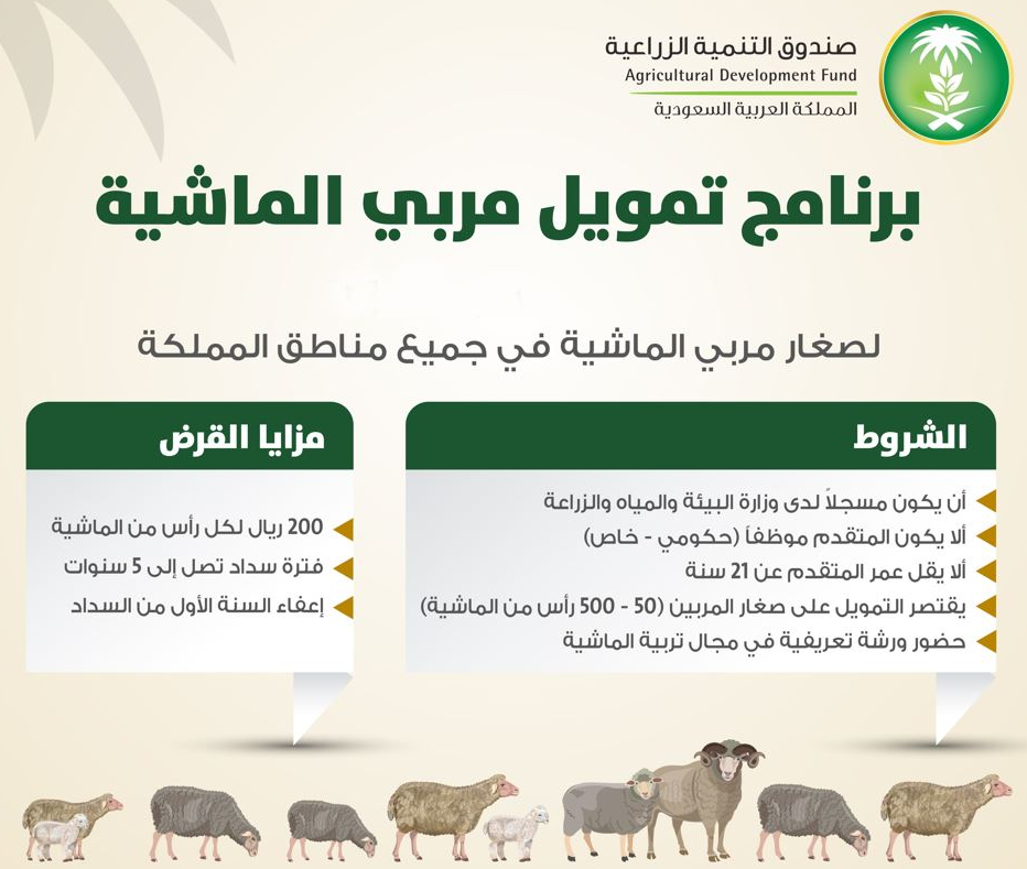 طريقة احتساب الدعم 