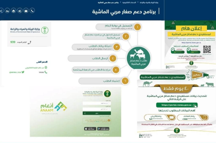 ماهو موعد صرف دعم المواشي؟ 