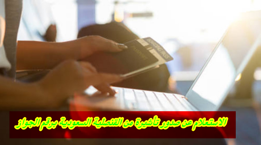 الاستعلام عن صدور تأشيرة من القنصلية السعودية برقم الجواز