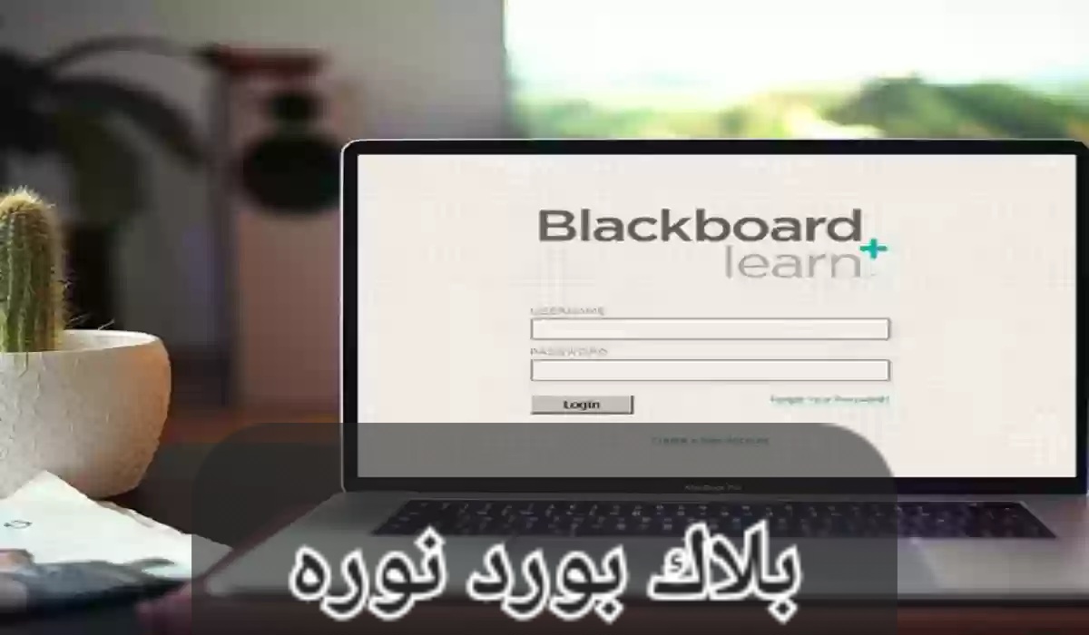 بلاك بورد نوره