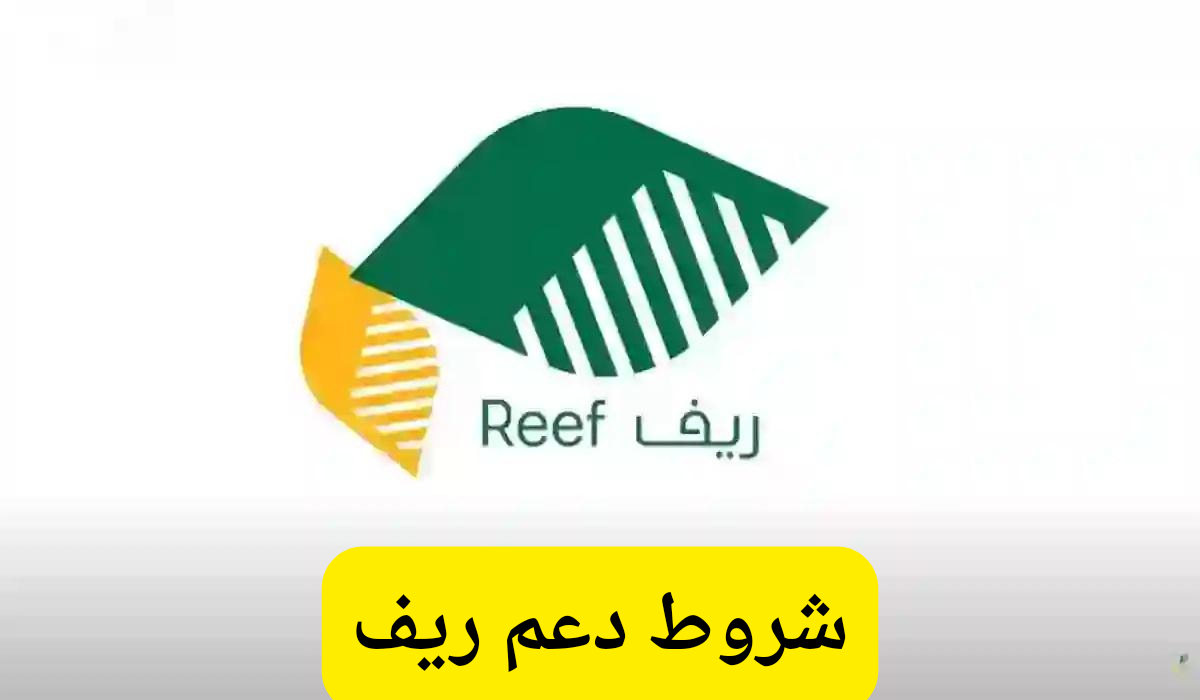 شروط دعم ريف 